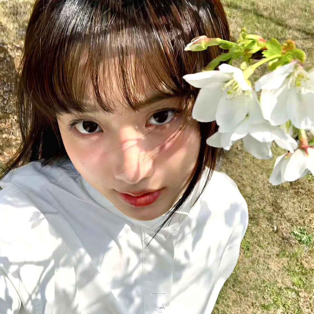 忘却的幸子 新春SP